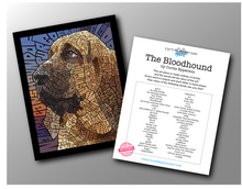 Load image into Gallery viewer, Bloodhound - Word Mosaic Art Print
